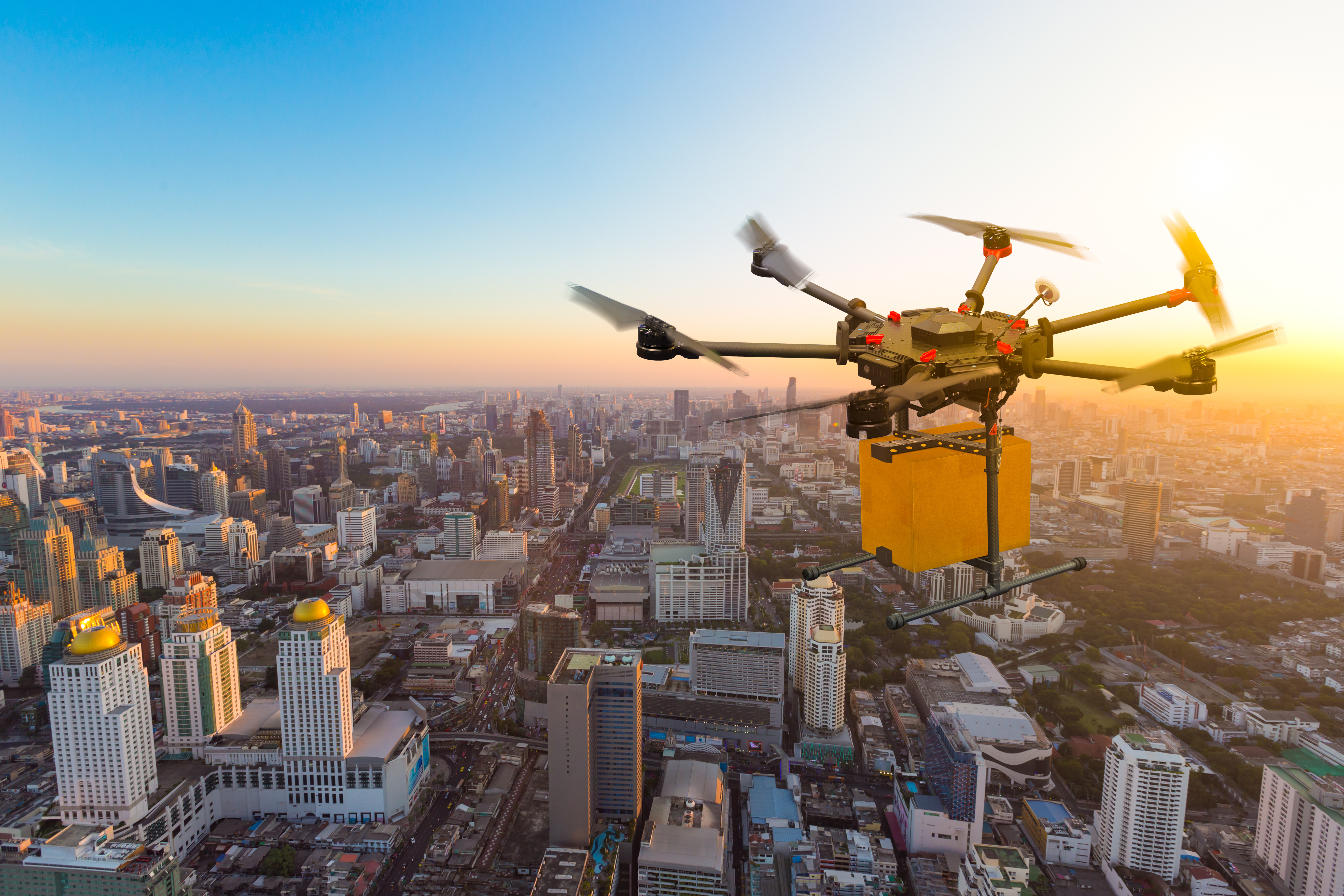 Drone cargo delivery article